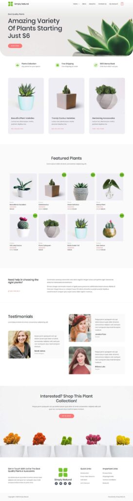 E Commerce Ablystudio 11 273x1024